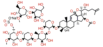 Cladoloside K2